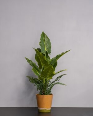 Forever Flora Dk