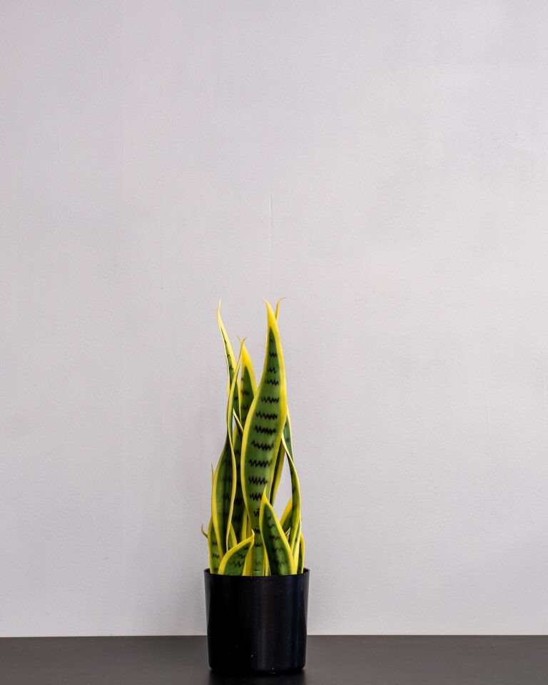 Alternative view of Eksklusiv Kunstig Sansevieria i Melaminpotte – Naturtro Design (50 cm)