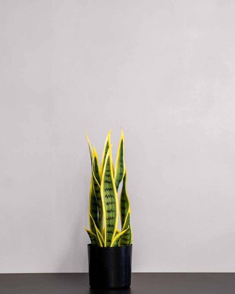 Kunstig Sansevieria