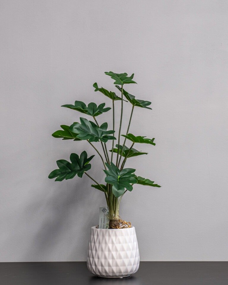 Alternative view of Eksklusiv Kunstig Filodendron i Keramikpotte – Naturtro Design (60 cm)