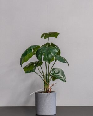 Forever Flora Dk