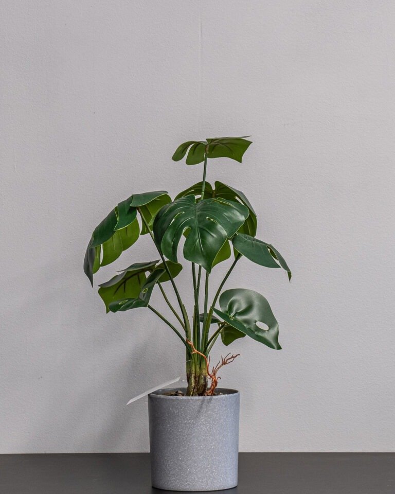 Eksklusiv Kunstig Monstera i Potte – Naturtro Design (45 cm) 6 Forever Flora Dk