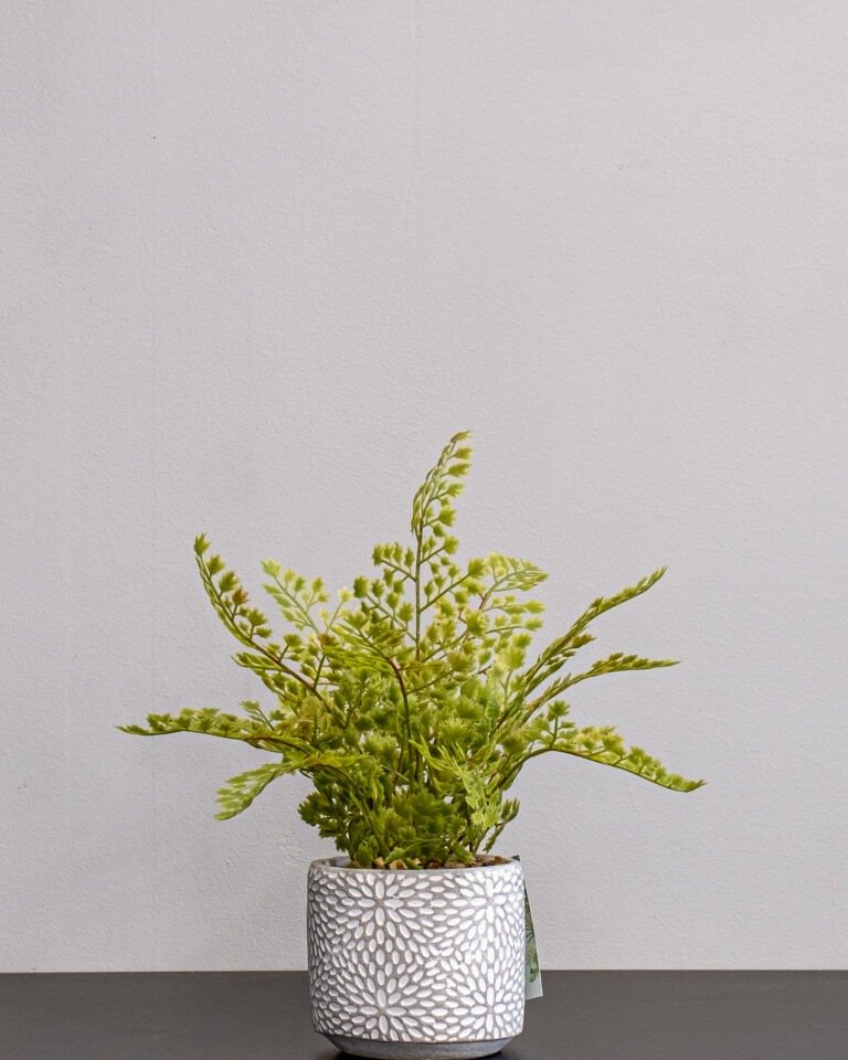 Alternative view of Moderne Kunstig Bregne i Cementpotte – Naturtro & Vedligeholdelsesfri (37 cm)