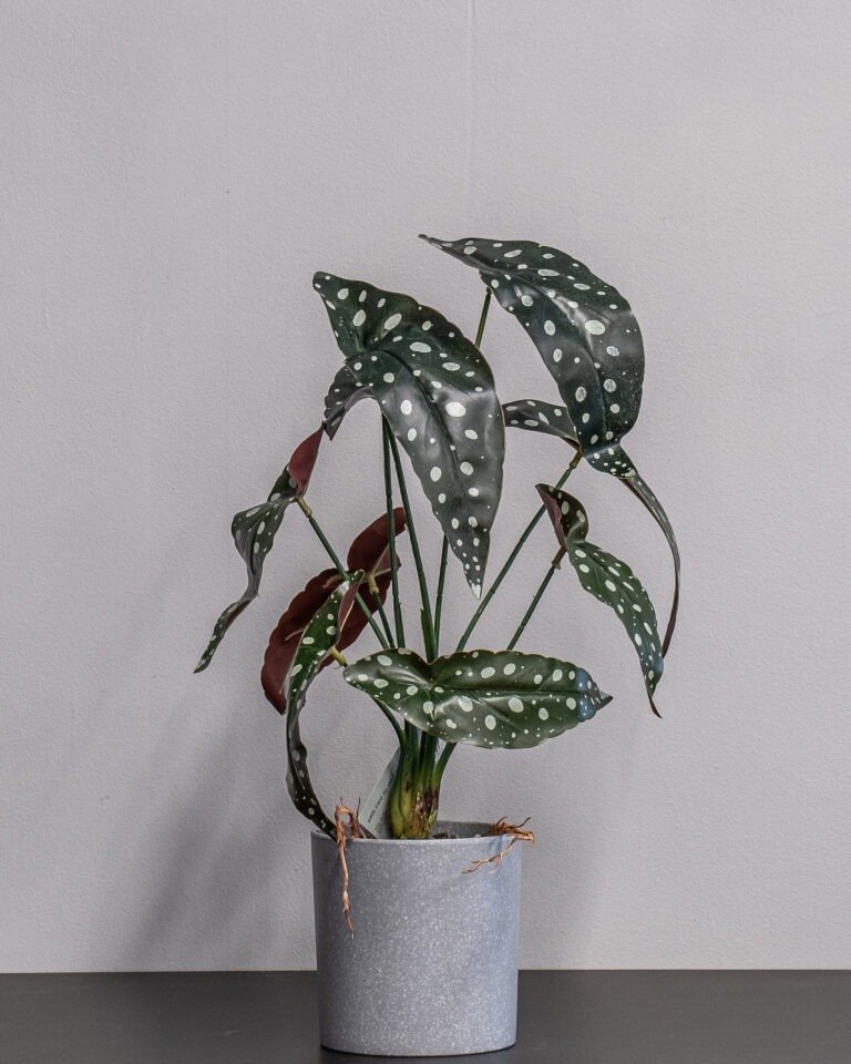 Alternative view of Eksklusiv Kunstig Begonia i Potte – Naturtro Design (45 cm)