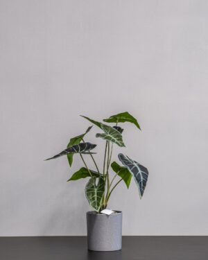 Kunstig Alocasia