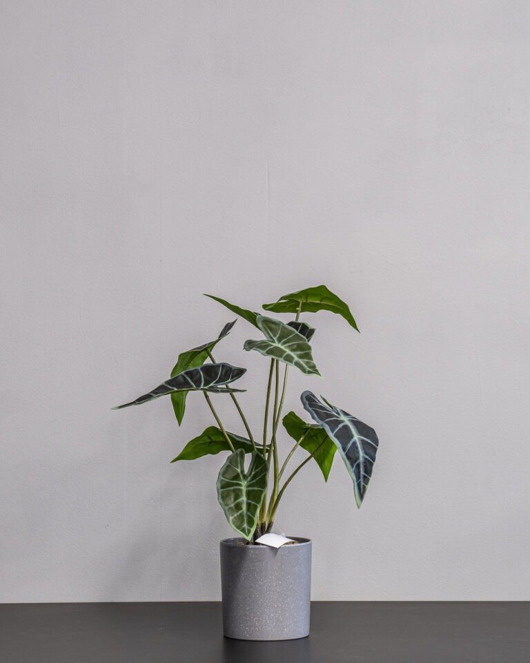 Kunstig Alocasia