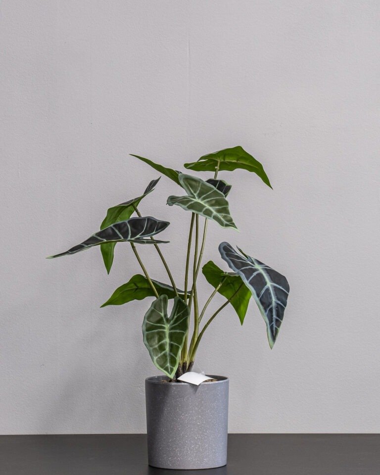 Alternative view of Eksklusiv Kunstig Alocasia i Potte – Naturtro Design (40 cm)