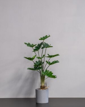 Kunstig Filodendron