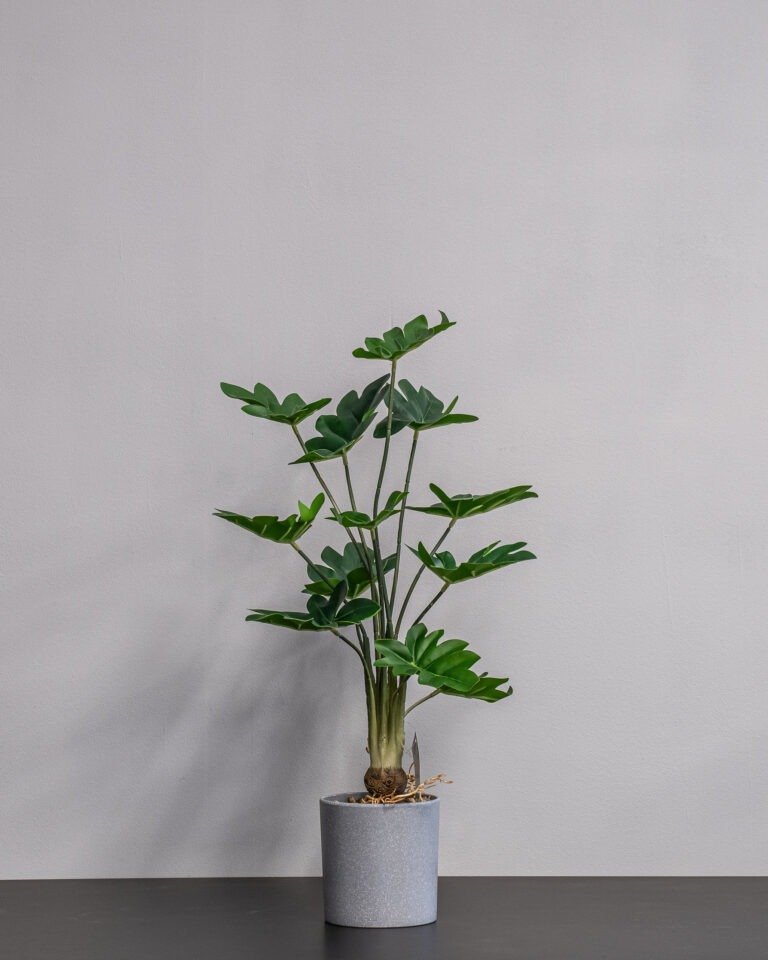 Kunstig Filodendron