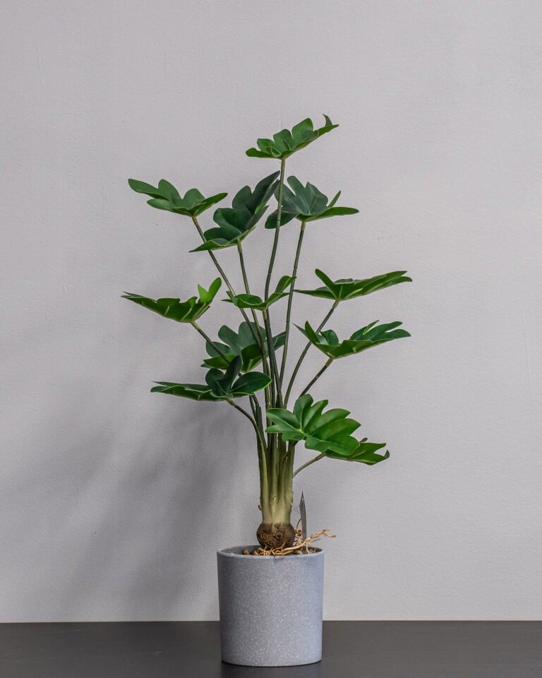 Alternative view of Eksklusiv Kunstig Filodendron i Potte – Naturtro Design (60 cm)