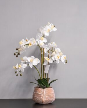 Forever Flora Dk