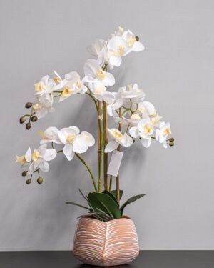 Forever Flora Dk