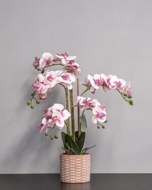 Forever Flora Dk