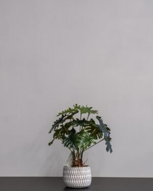 Kunstig Filodendron