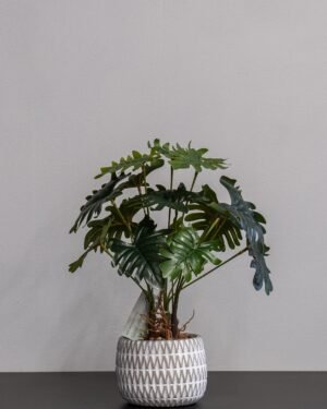 Alternative view of Eksklusiv Kunstig Filodendron i Moderne Cementpotte – Naturtro (32 cm)