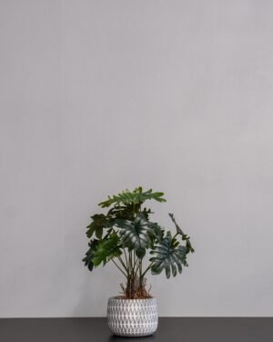 Forever Flora Dk