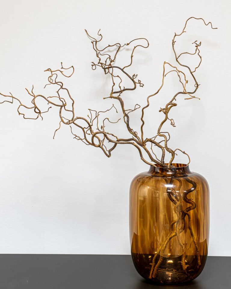 Alternative view of Eksklusive Troldhassel Grene (Coryllis) – 3 stk. Snoede Grene (80 cm)