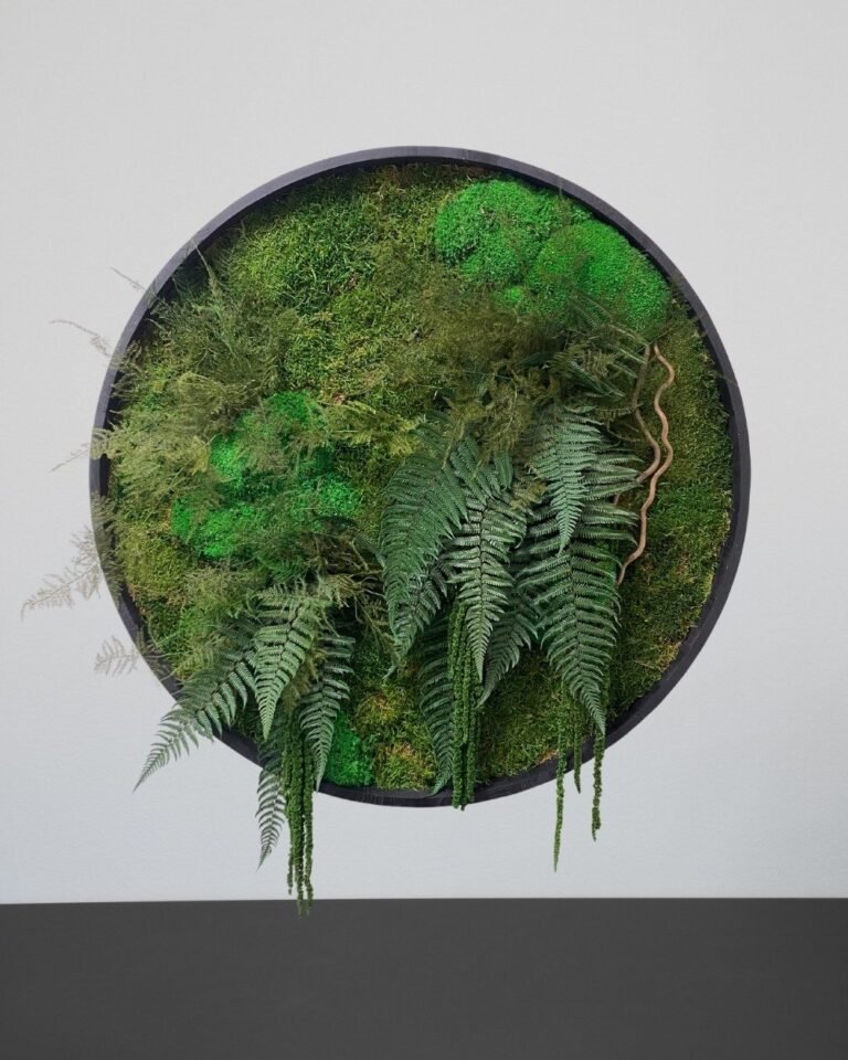 Alternative view of Runde Mosbilleder – Forårsskov Plantevæg