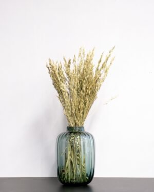 Forever Flora Dk