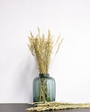Forever Flora Dk