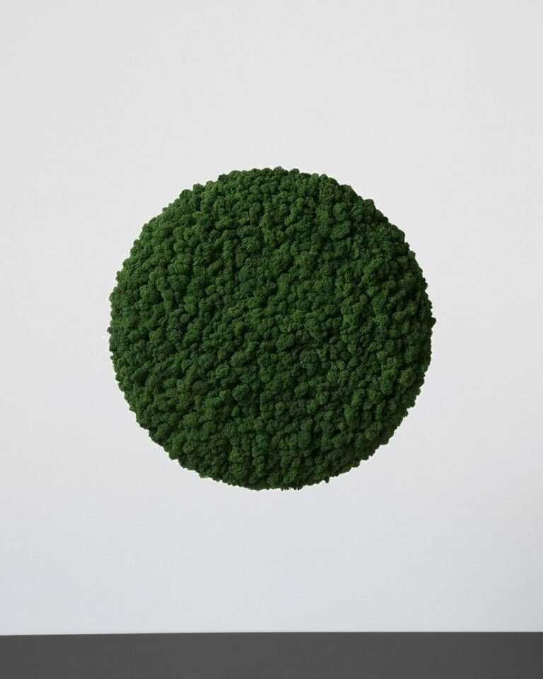 Alternative view of Mospanel Cirkel - Fantastisk vægpanel med ægte finsk rensdyrlav