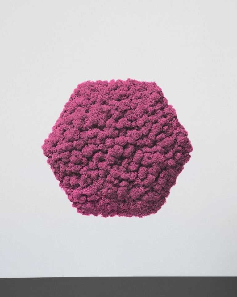 Alternative view of Mospanel Hexagonal - Fantastisk lydabsorberende vægpanel med finsk rensdyrlav